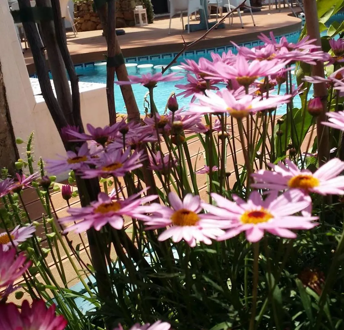 Banus Lodge Marbella